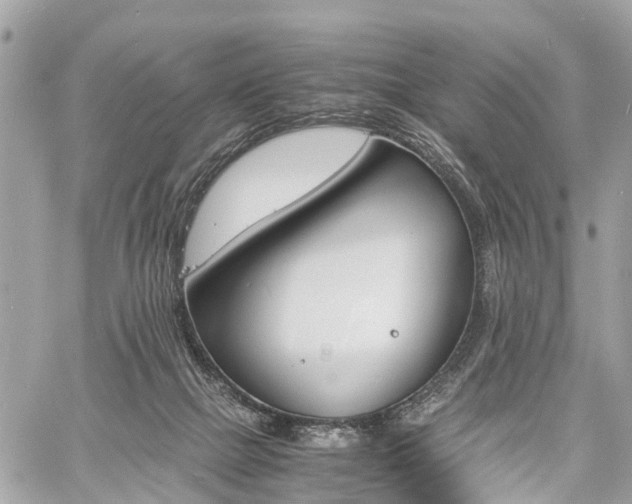 X0000060800073200511141451