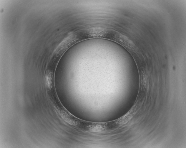 X0000060800074200511141451