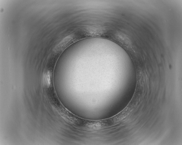 X0000060800075200511141451