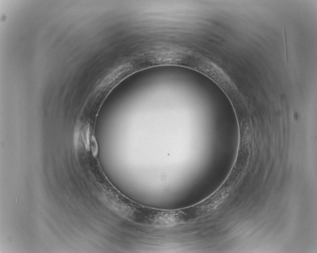 X0000060800076200511141451