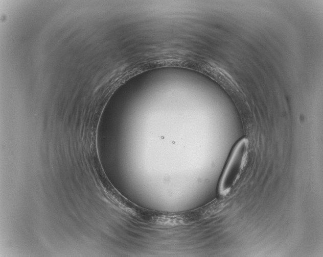 X0000060800077200511141451