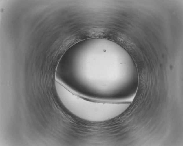 X0000060800079200511141451