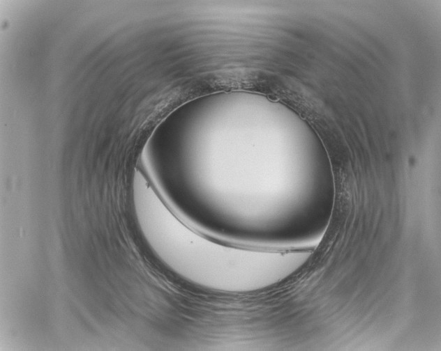 X0000060800080200511141451