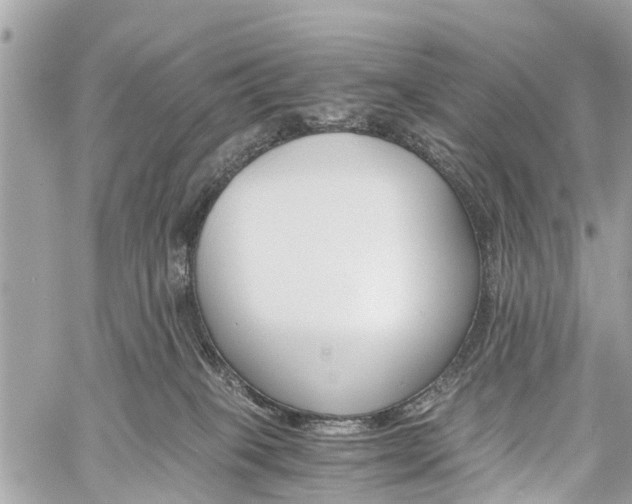 X0000060800085200511141451