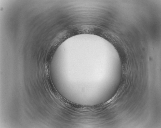 X0000060800086200511141451