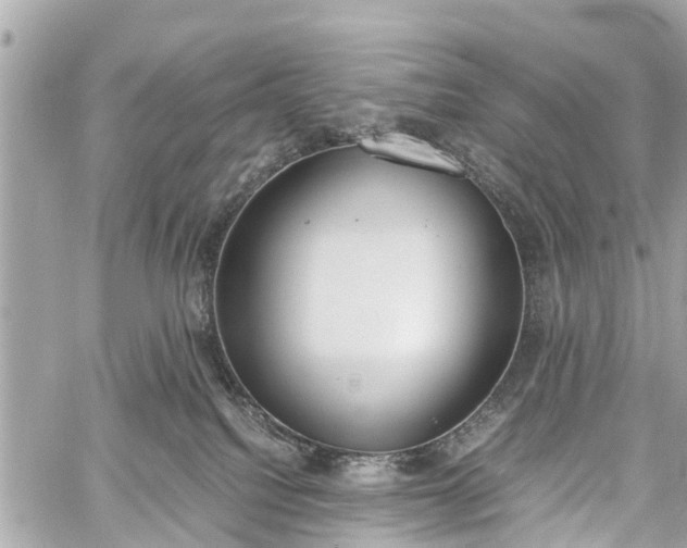 X0000060800088200511141451