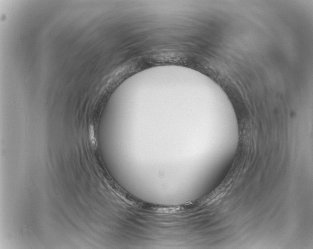 X0000060800089200511141451