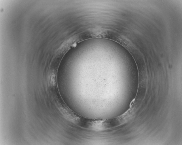 X0000060800090200511141451