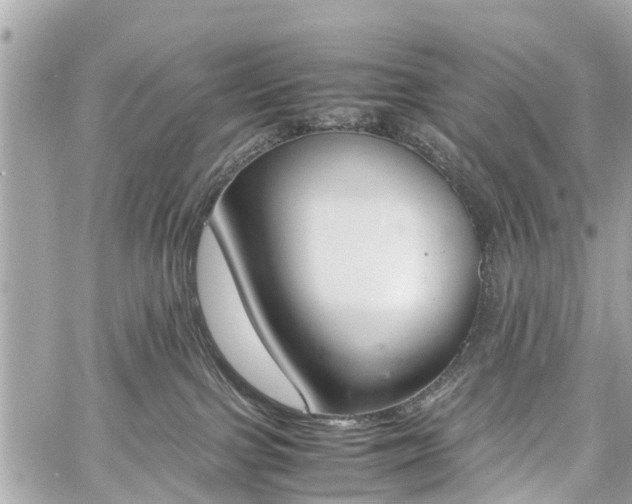 X0000060800091200511141451