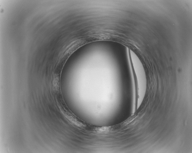 X0000060800092200511141451