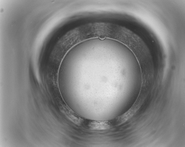 X0000060800093200511141451