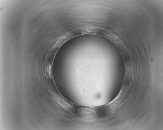 X0000060800094200511141451