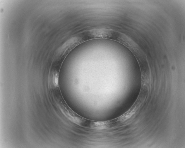 X0000060800095200511141451