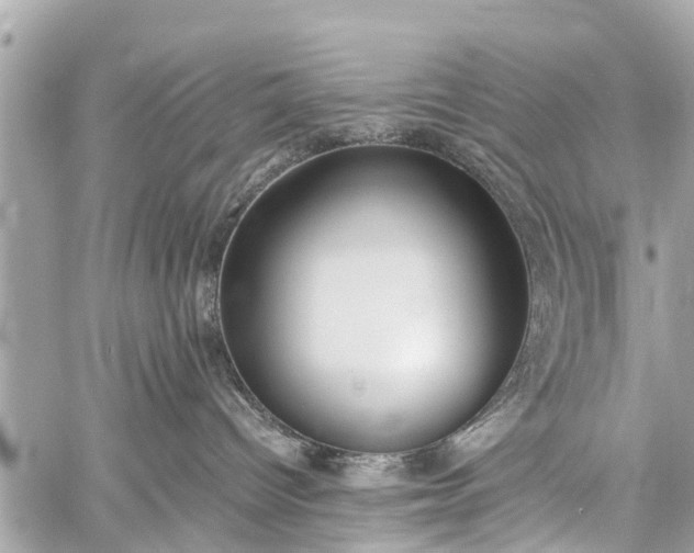 X0000060800096200511141451