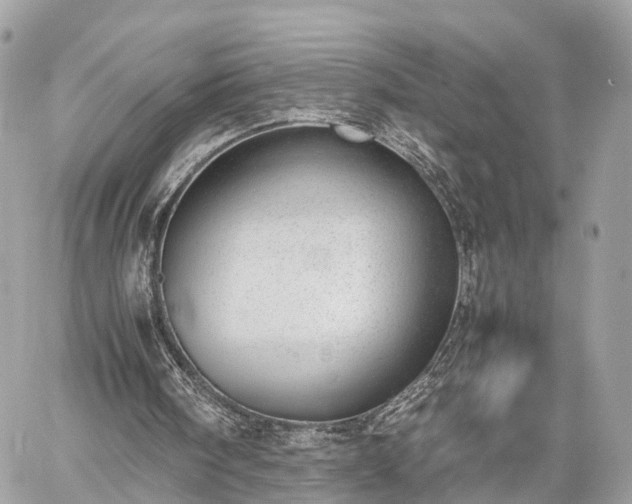 X0000060800098200511141450