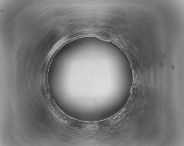 X0000060800099200511141450