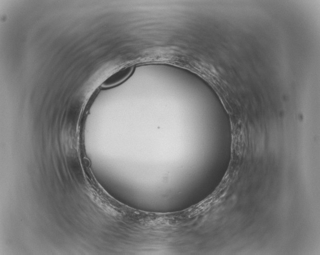 X0000060800100200511141450