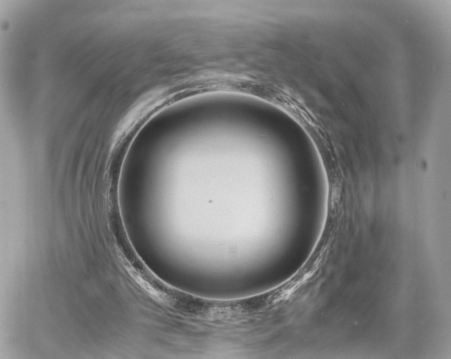 X0000060800101200511141450