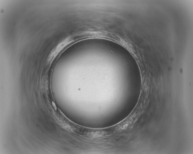 X0000060800103200511141450