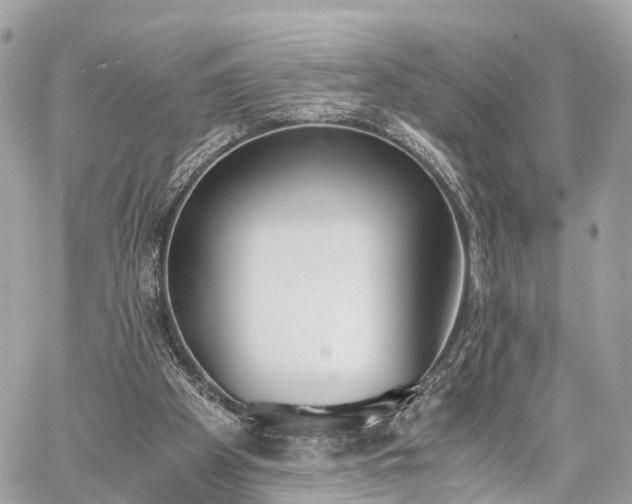 X0000060800105200511141450