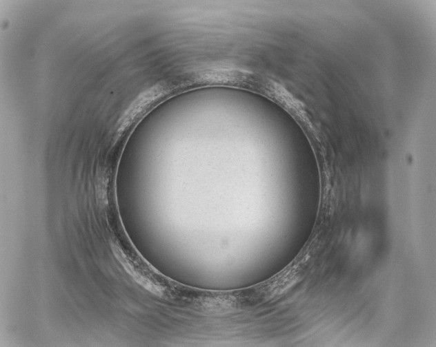 X0000060800106200511141450