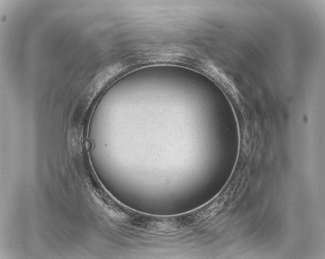 X0000060800107200511141450