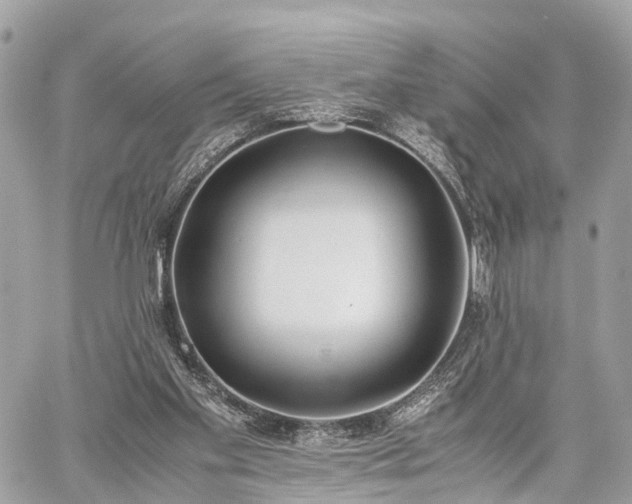 X0000060800109200511141450