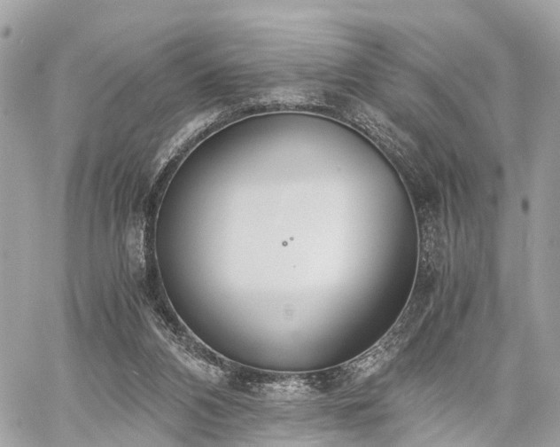 X0000060800112200511141450