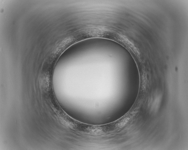 X0000060800113200511141450