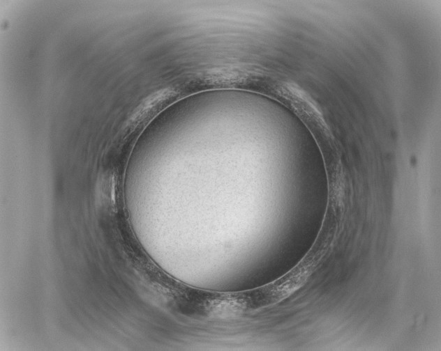 X0000060800115200511141450