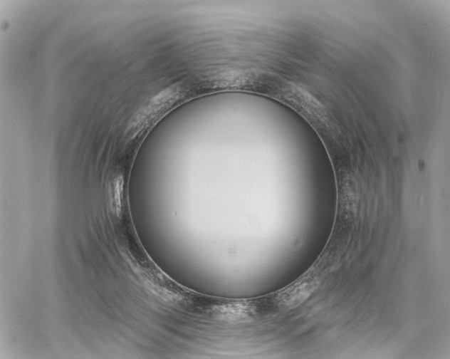 X0000060800118200511141450