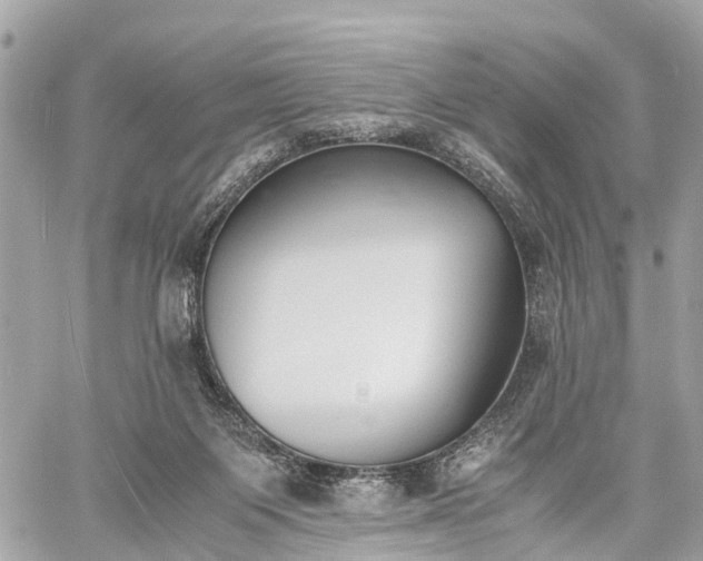 X0000060800119200511141450