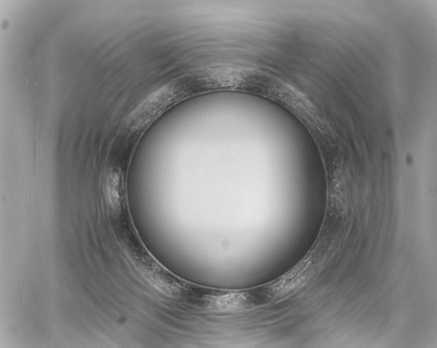 X0000060800122200511141450