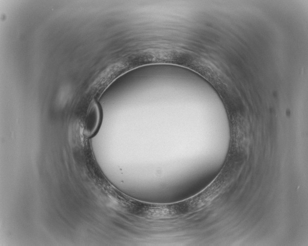 X0000060800123200511141450