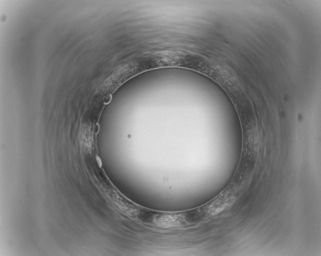 X0000060800129200511141450