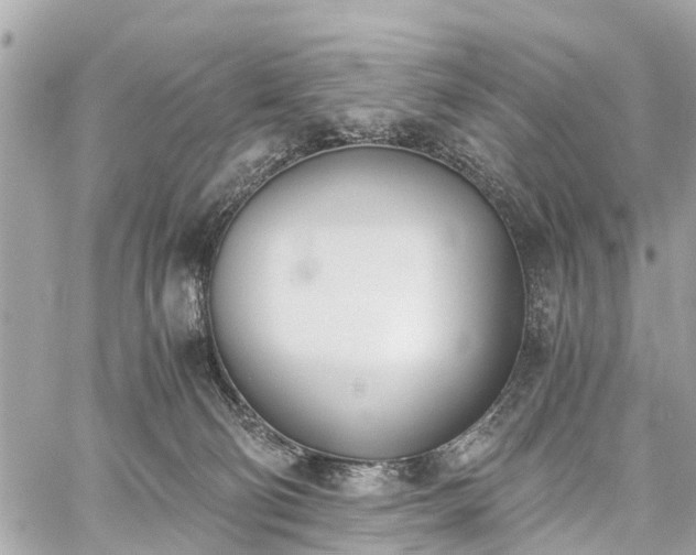 X0000060800130200511141450