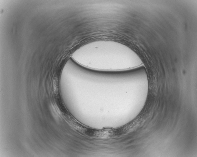 X0000060800131200511141450