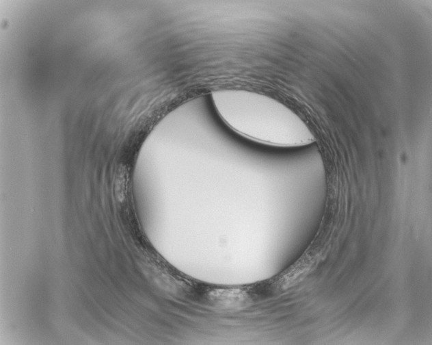 X0000060800133200511141450