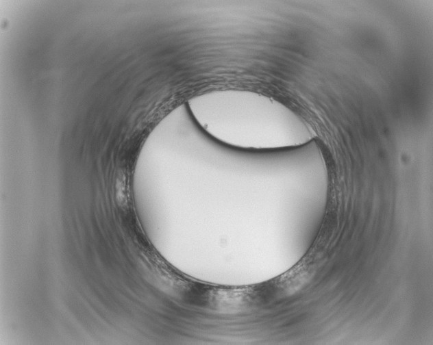 X0000060800134200511141450