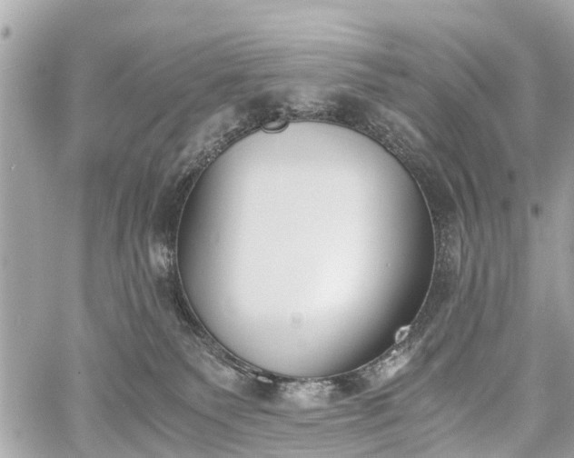 X0000060800135200511141450