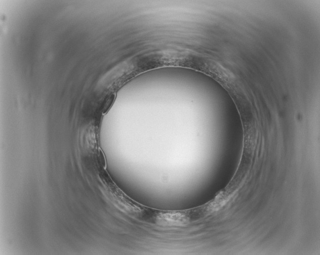 X0000060800137200511141450