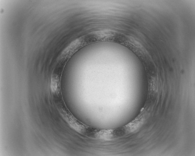 X0000060800138200511141450