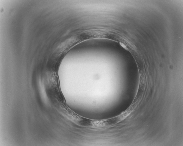 X0000060800141200511141450