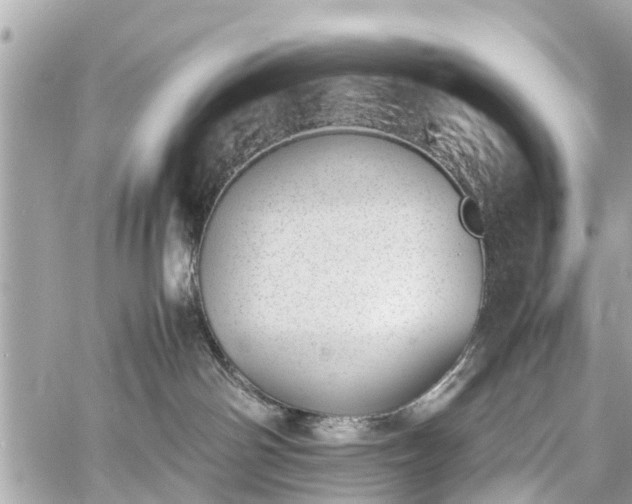 X0000060800142200511141450