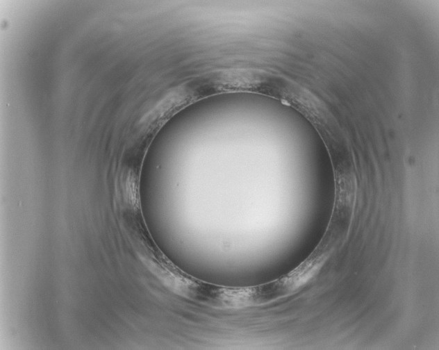 X0000060800143200511141450