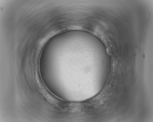 X0000060800145200511141449