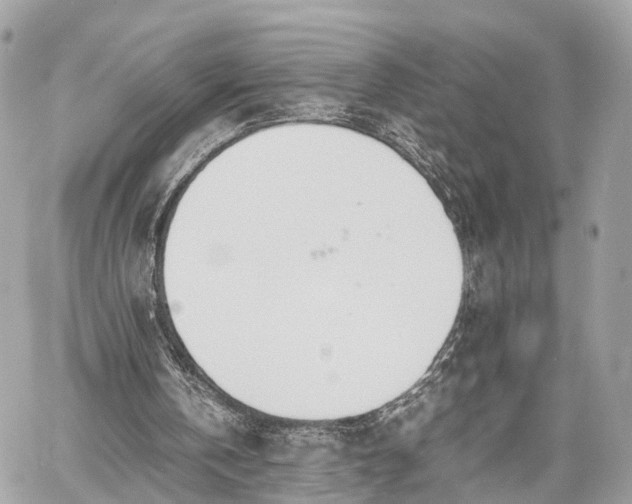 X0000060800146200511141449