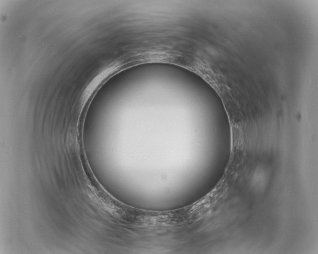 X0000060800147200511141449