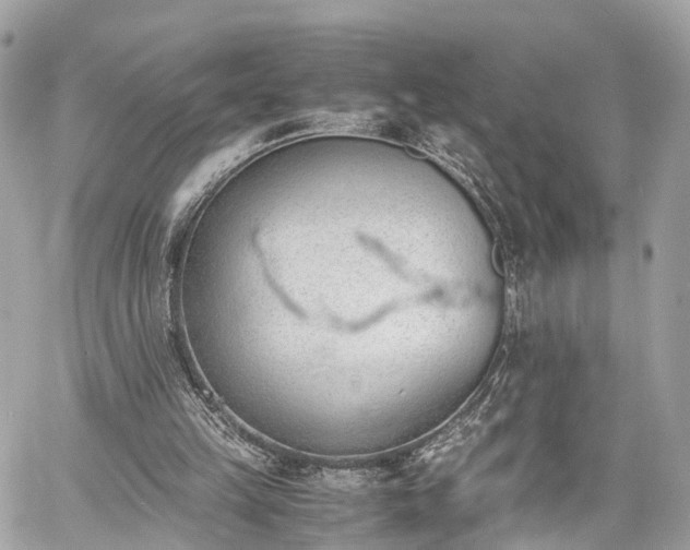 X0000060800149200511141449