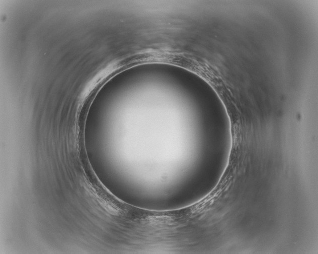 X0000060800150200511141449